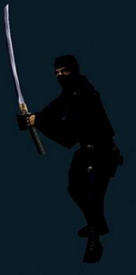 Gign Ninja w Shai'Zuk's sword